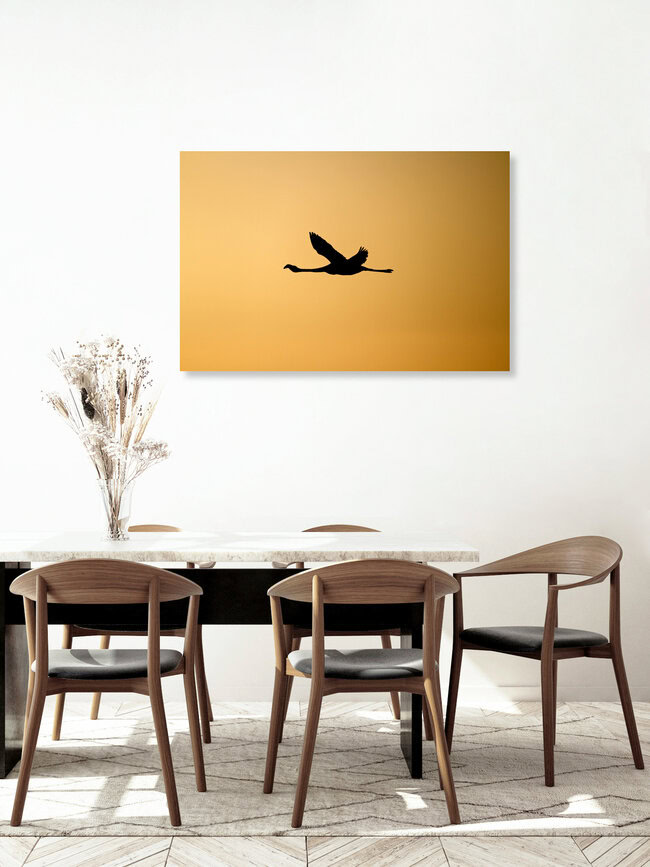 Auf dem Flug zur Schlafstelle, Chile – Fotokunst von Dirk Heckmann als Poster oder Acrylglasbild