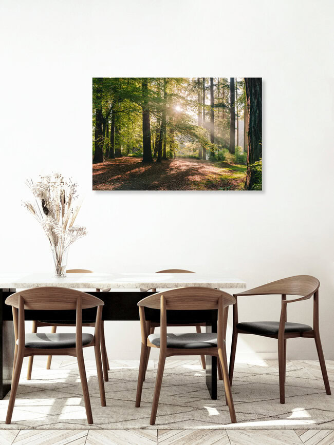 Stanley Park // Vancouver, Canada, Canada – wall art by Manuel Gros as Poster or Acrylic Glass Print
