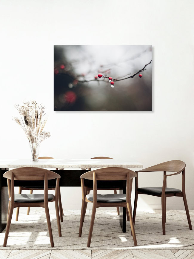 rote Beeren am Zweig im Winter mit Wassertropfen, Deutschland – Fotokunst von Nadja Jacke als Poster oder Acrylglasbild