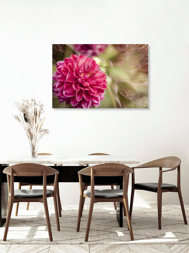 Doppelte Dahlienblüte, Deutschland – Fotokunst von Nadja Jacke als Poster oder Acrylglasbild