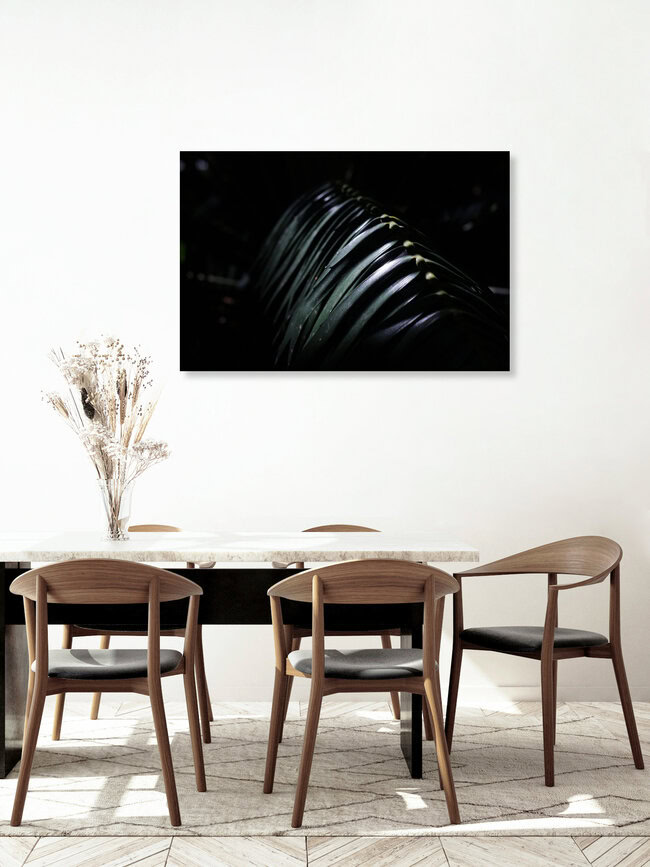 palmwedel 2, Südafrika – Fotokunst von Friederike Lenz als Poster oder Acrylglasbild