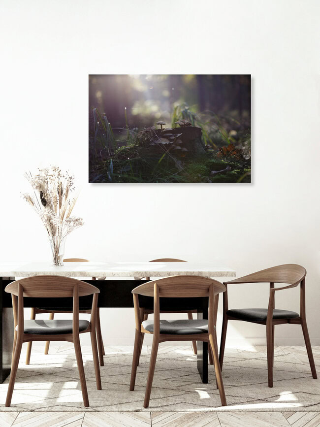 Magischer Pilz im Wald, Deutschland – Fotokunst von Andrea Hansen als Poster oder Acrylglasbild