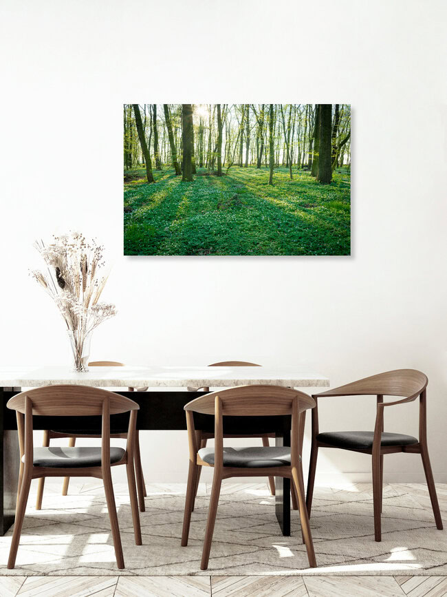 Frühling im Wald, Deutschland – Fotokunst von Martin Wasilewski als Poster oder Acrylglasbild