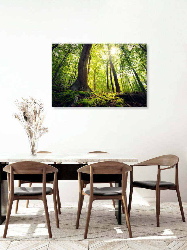 Grüner Buchenwald, Deutschland – Fotokunst von Oliver Henze als Poster oder Acrylglasbild
