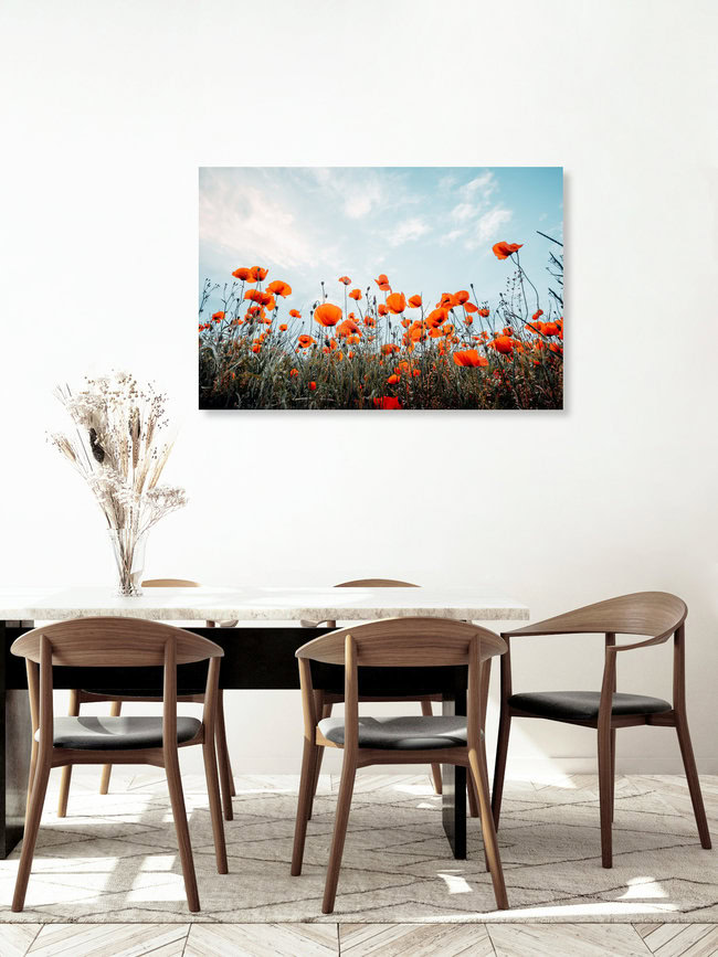 Poppy field and blue sky, Germany – wall art by Oliver Henze as Poster or Acrylic Glass Print