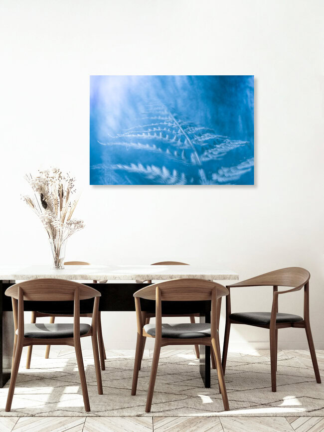 Blue fern, Deutschland – Fotokunst von Sebastian Worm als Poster oder Acrylglasbild