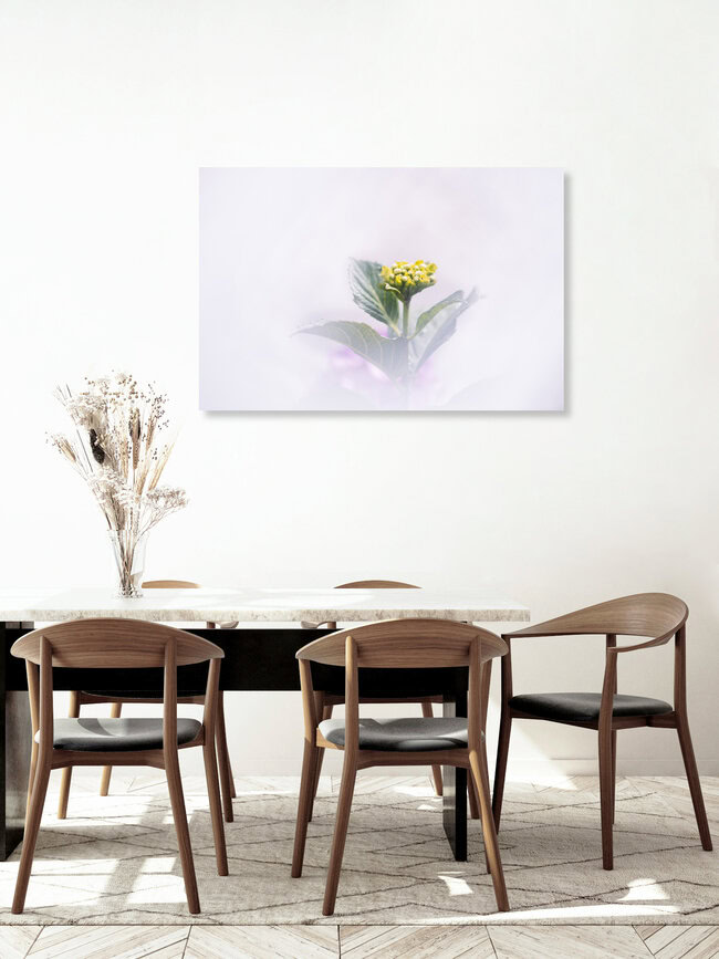 Hortensien, Deutschland – Fotokunst von Nadja Jacke als Poster oder Acrylglasbild