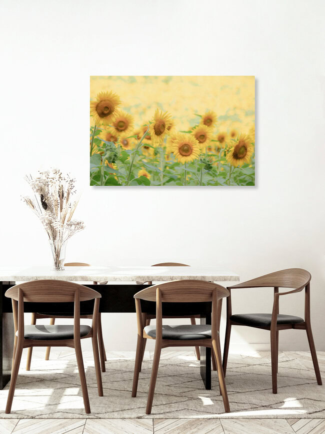 Face to the Sun, Vereinigte Staaten – Fotokunst von Courtney Crane als Poster oder Acrylglasbild