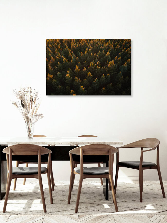 Trees from above, Germany – wall art by Lina Jakobi as Poster or Acrylic Glass Print