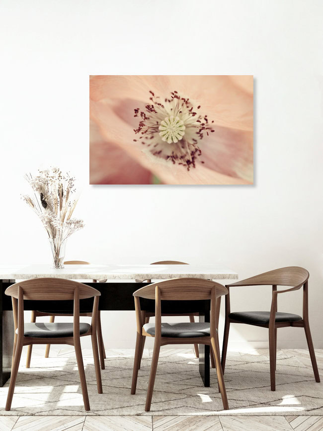 silk poppies, Germany – wall art by Nadja Jacke as Poster or Acrylic Glass Print