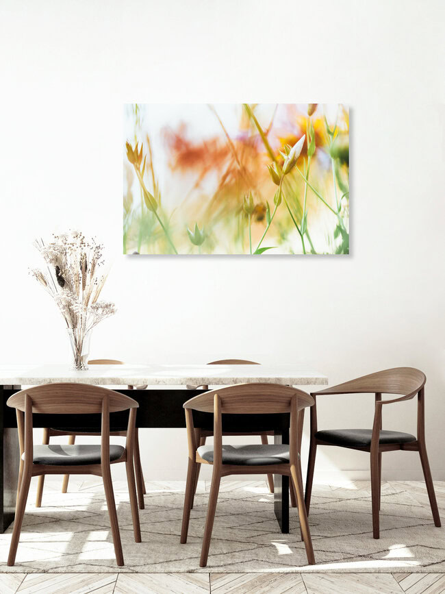 Sommerblumen, Deutschland – Fotokunst von Nadja Jacke als Poster oder Acrylglasbild