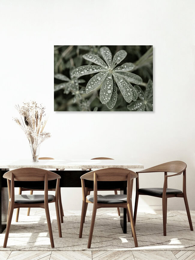 Blue Lupine #4, Israel – wall art by Tal Paz-fridman as Poster or Acrylic Glass Print