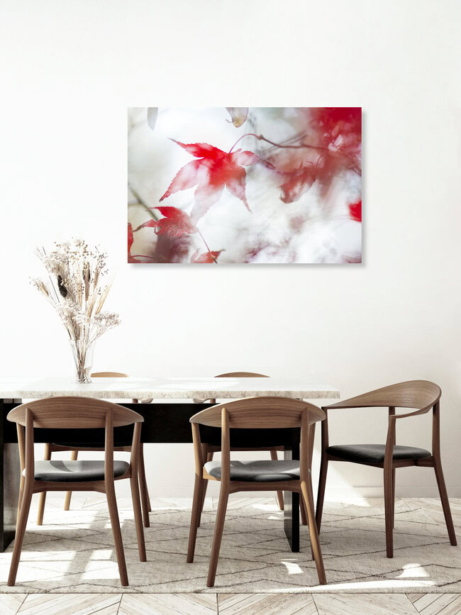 Dancing leaves, Switzerland – wall art by Thomas Staubli as Poster or Acrylic Glass Print