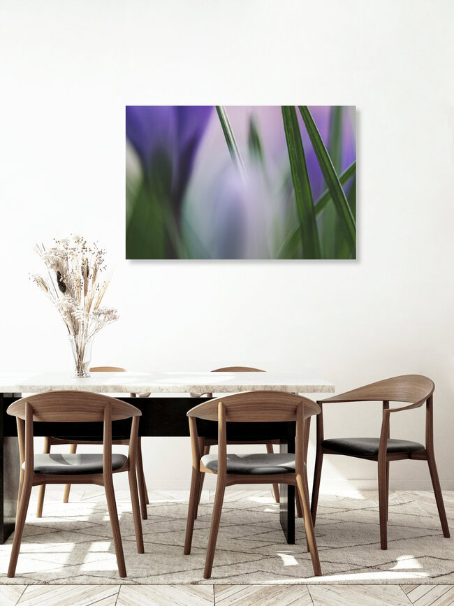 Grashalme, Deutschland – Fotokunst von Nadja Jacke als Poster oder Acrylglasbild