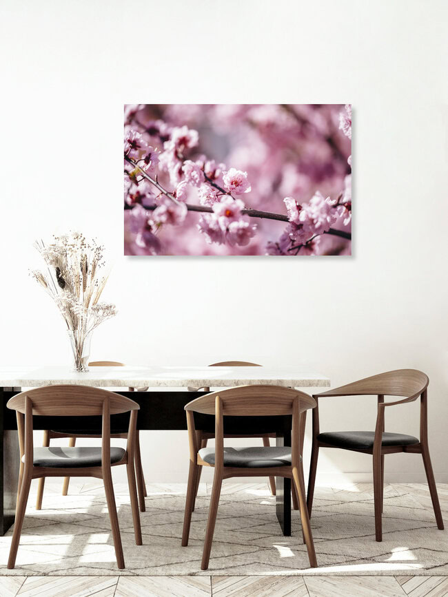 Kirschblüten in der Frühlingssonne, Deutschland – Fotokunst von Nadja Jacke als Poster oder Acrylglasbild