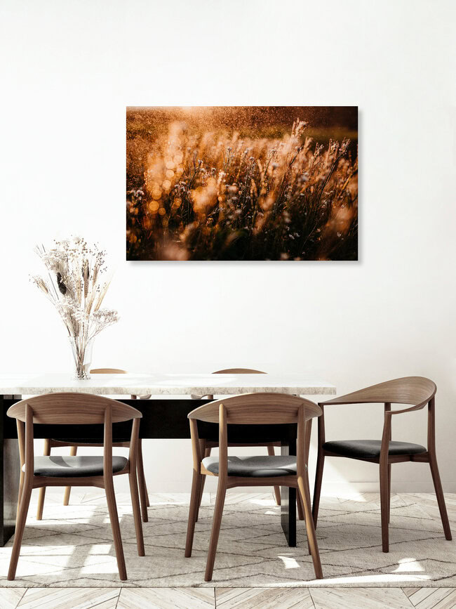Sun and Rain, Germany – wall art by Danny Schöning as Poster or Acrylic Glass Print