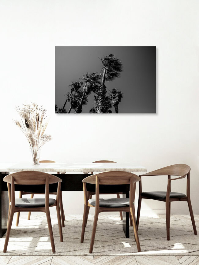 PALM TREES, BEACH AND MORE VOL.2, United States – wall art by Jasmin Hertrich as Poster or Acrylic Glass Print