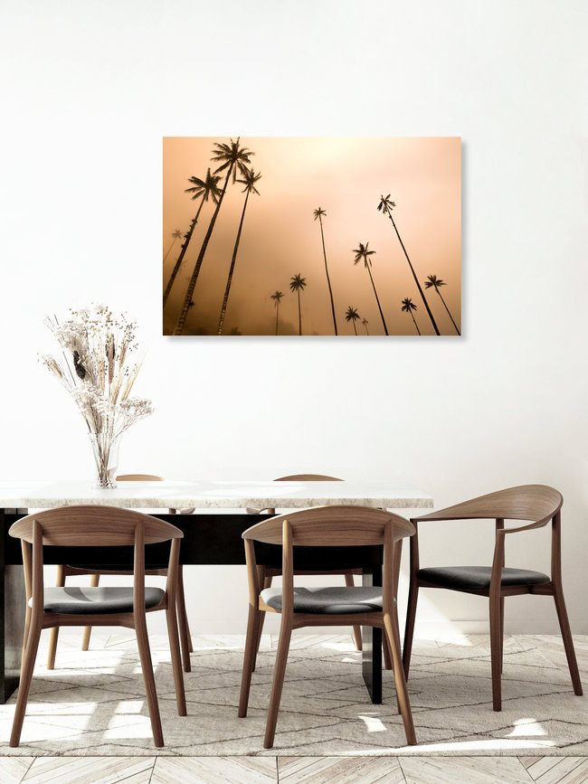 Cocora Valley, Kolumbien – Fotokunst von Tonio Bessa als Poster oder Acrylglasbild