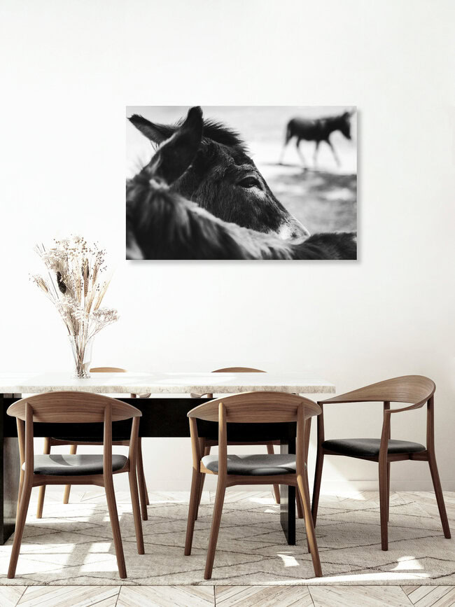 Esel, Deutschland – Fotokunst von Nadja Jacke als Poster oder Acrylglasbild