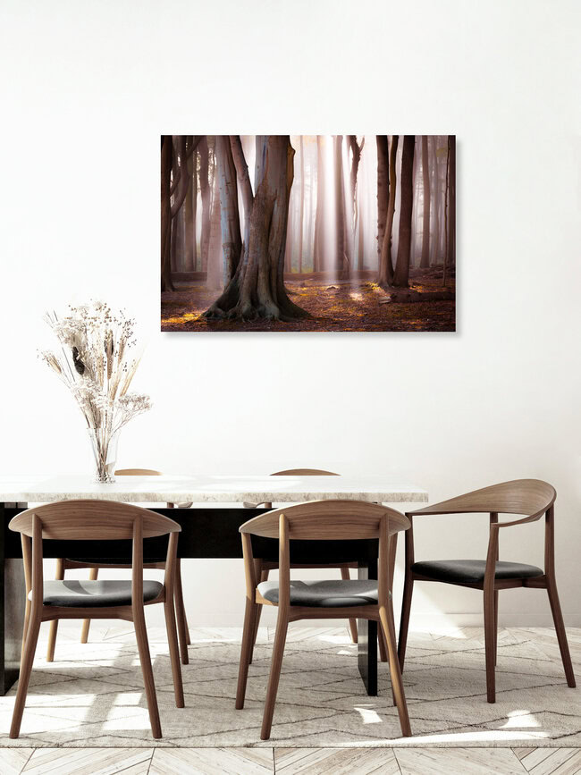 Light in the Forest, Germany – wall art by Martin Wasilewski as Poster or Acrylic Glass Print