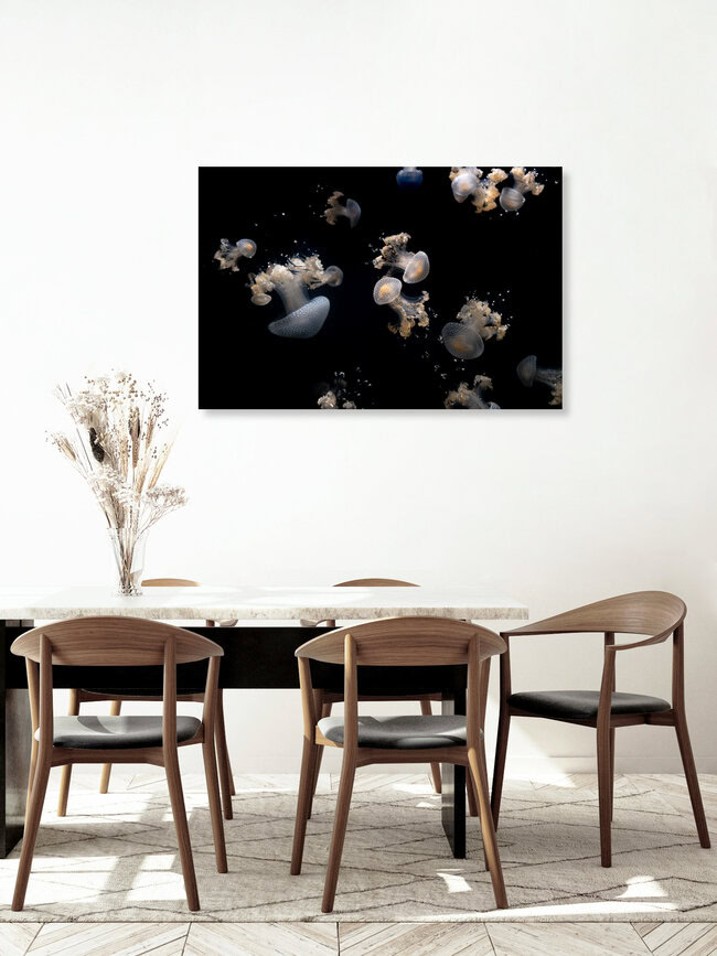 JellyFish, Vereinigte Staaten – Fotokunst von Roman Becker als Poster oder Acrylglasbild