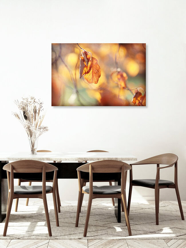 Autumn Spirit, Deutschland – Fotokunst von Torsten Kupke als Poster oder Acrylglasbild