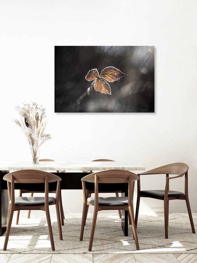 Blackberry Leaf, Germany – wall art by Sebastian Worm as Poster or Acrylic Glass Print
