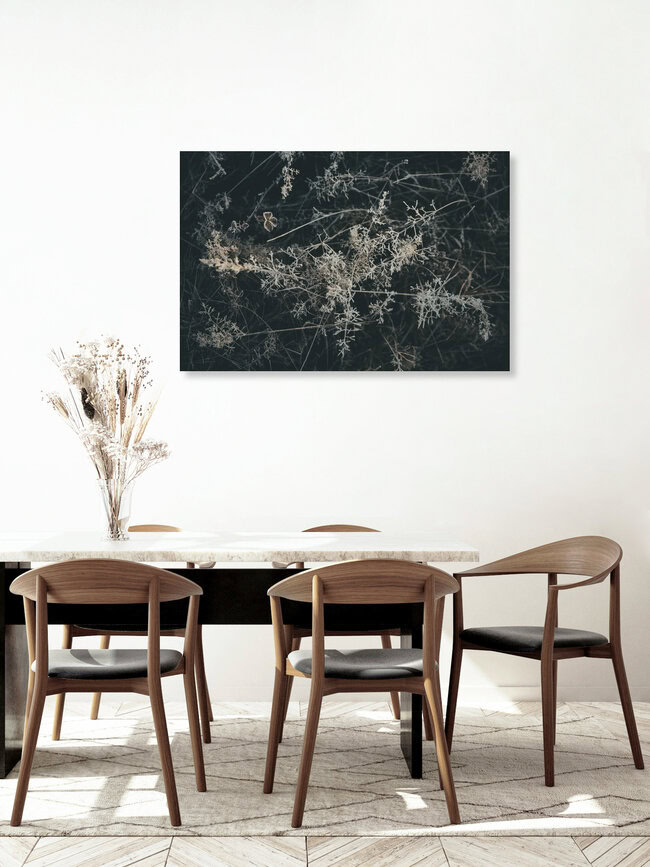 FROZEN FLORA 7, Germany – wall art by Steffen Schulte-Lippern as Poster or Acrylic Glass Print