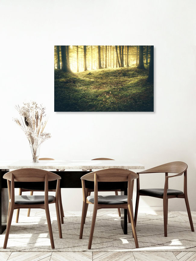 Goldener mystischer Sonnenaufgang im Wald, Deutschland – Fotokunst von Oliver Henze als Poster oder Acrylglasbild