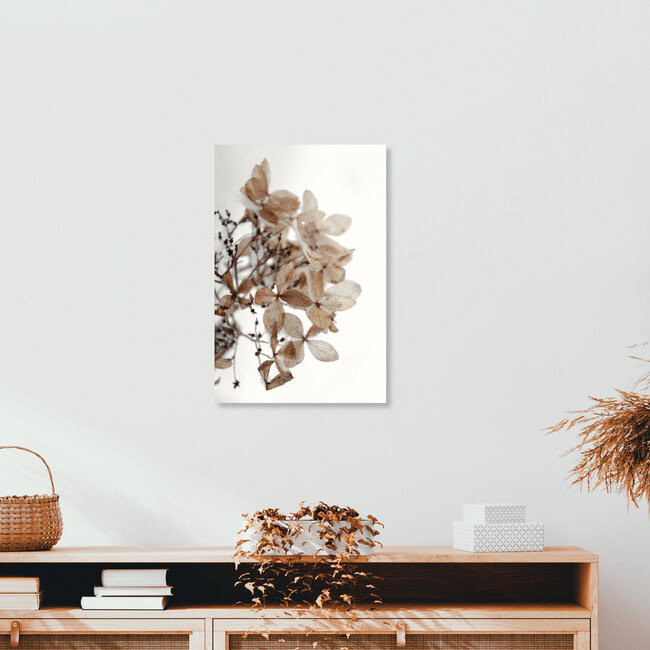 snowy hydrangea flowers 1 of 2 - Hortensie, Germany – wall art by Studio Na.hili as Poster or Acrylic Glass Print