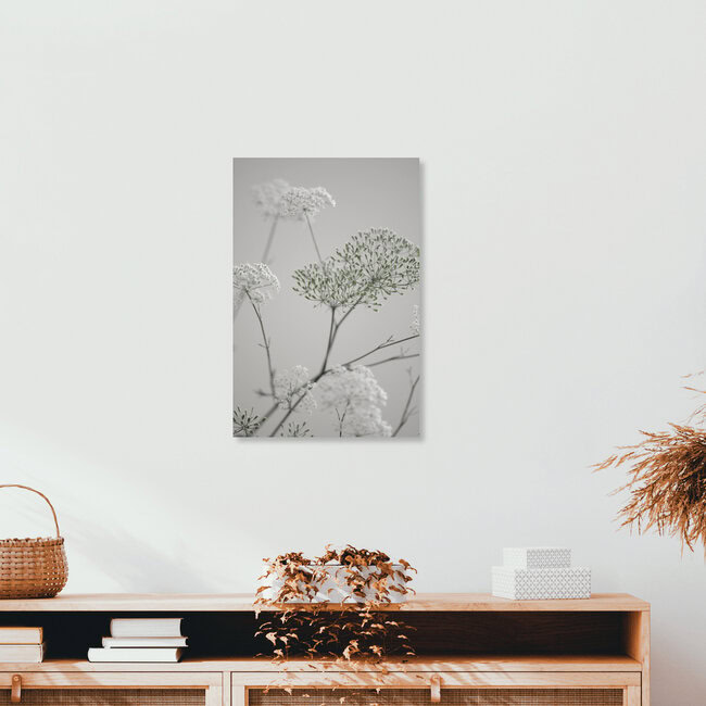 white greige flower blossoms, Deutschland – Fotokunst von Studio Na.hili als Poster oder Acrylglasbild