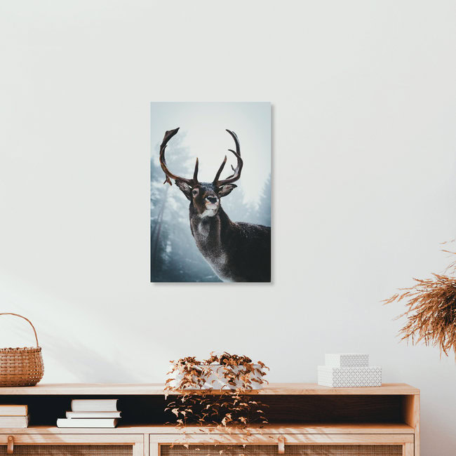 Der Wächter des Waldes, Deutschland – Fotokunst von Patrick Monatsberger als Poster oder Acrylglasbild