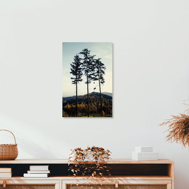 Tönsberg im Teutoburger Wald im Herbst, Deutschland – Fotokunst von Nadja Jacke als Poster oder Acrylglasbild