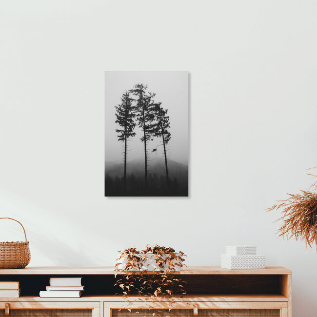Tönsberg im Teutoburger Wald im November, Deutschland – Fotokunst von Nadja Jacke als Poster oder Acrylglasbild