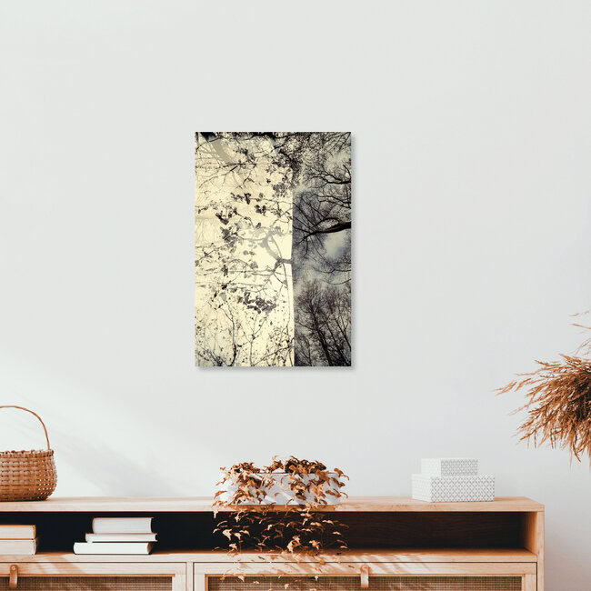 Zauberwald, Deutschland – Fotokunst von Rolf Bökemeier als Poster oder Acrylglasbild