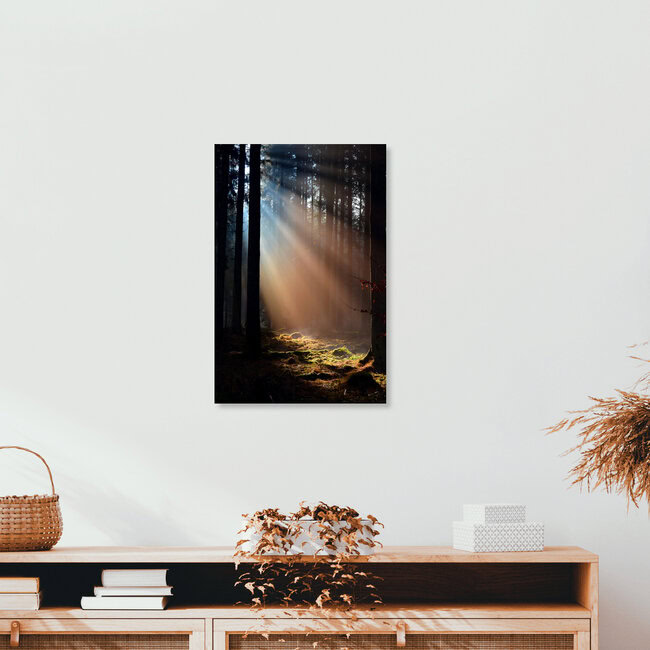 sunlights hits the fog, Germany – wall art by Andreas Hänsler as Poster or Acrylic Glass Print