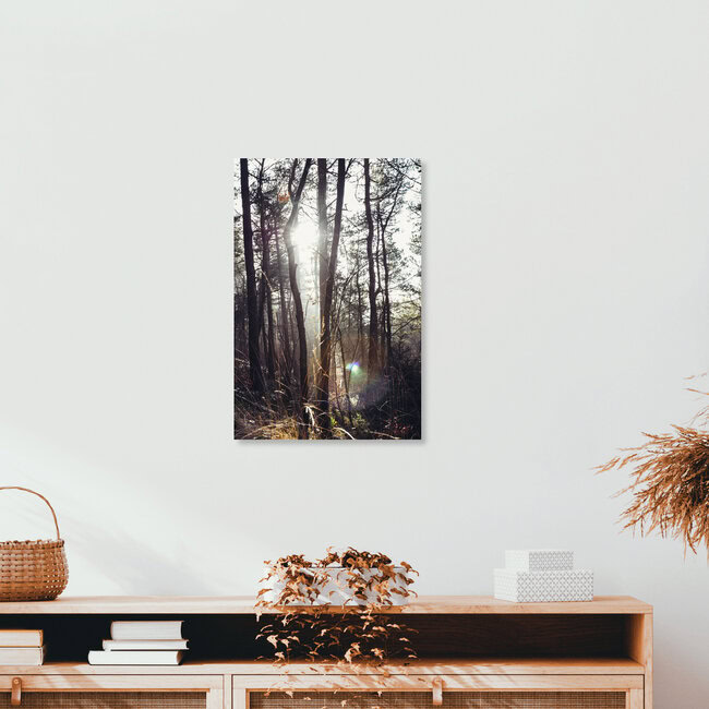 Teutoburger Wald in strahlendem Sonnenlicht, Deutschland – Fotokunst von Nadja Jacke als Poster oder Acrylglasbild