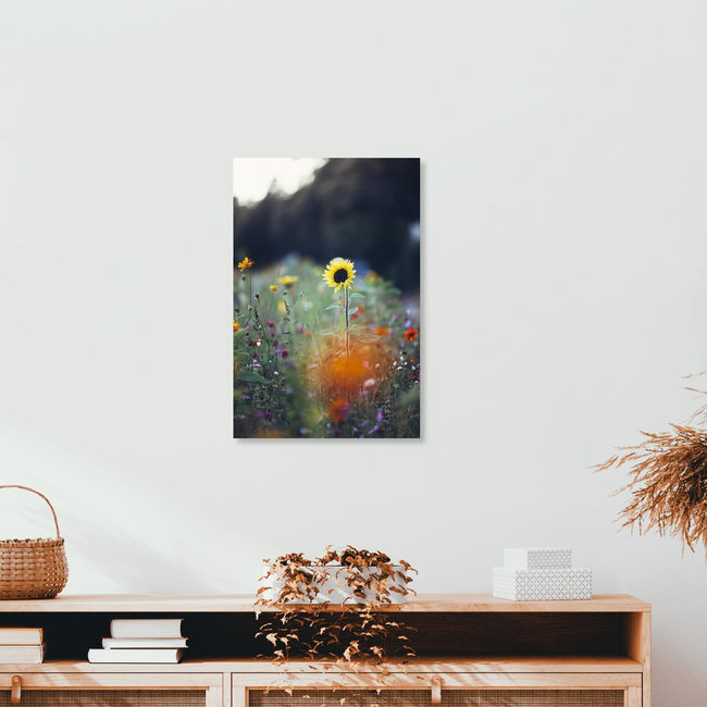 Sommerblumen am Straßenrand, Deutschland – Fotokunst von Nadja Jacke als Poster oder Acrylglasbild