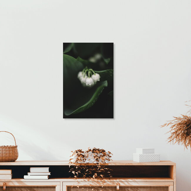 Blühende Maiglöckchen, Deutschland – Fotokunst von Nadja Jacke als Poster oder Acrylglasbild