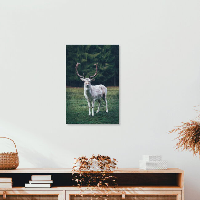 Forest creature, Germany – wall art by Patrick Monatsberger as Poster or Acrylic Glass Print