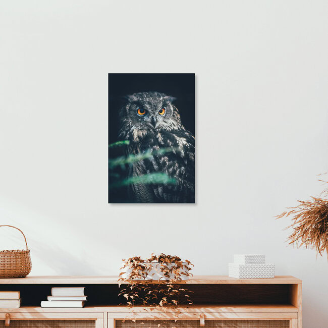 Bubo bubo, Germany – wall art by Patrick Monatsberger as Poster or Acrylic Glass Print