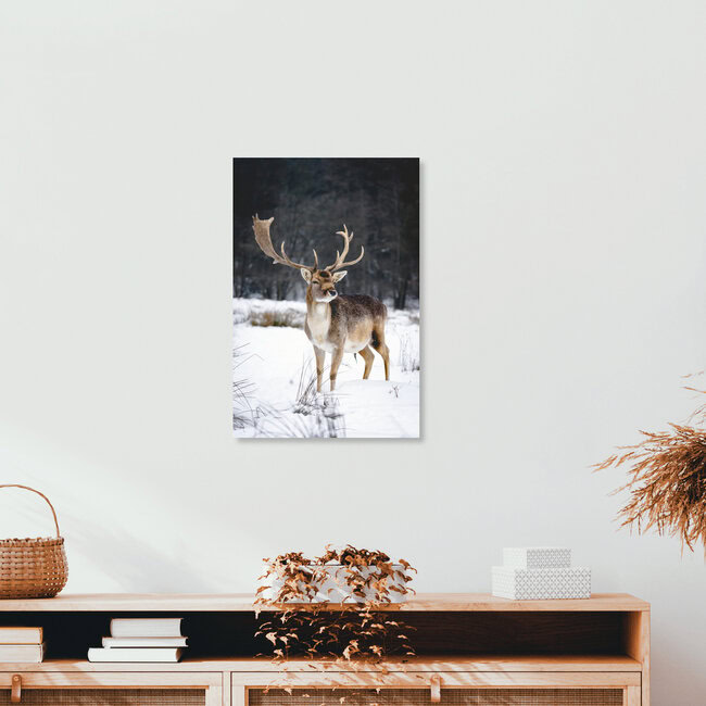 Ein Männlein steht im Walde, Deutschland – Fotokunst von Patrick Monatsberger als Poster oder Acrylglasbild