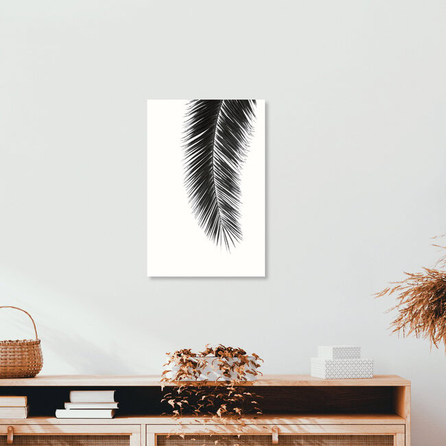 BLACK PALM, Mexiko – Fotokunst von Monika Strigel als Poster oder Acrylglasbild