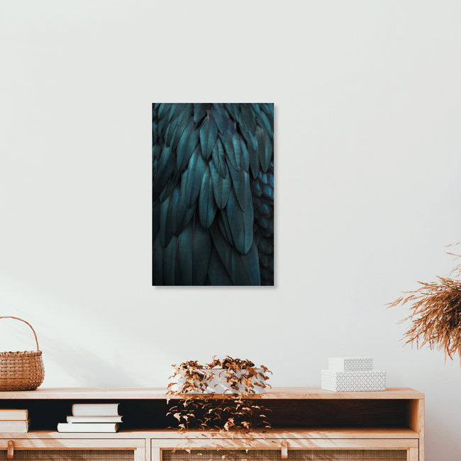 DARK FEATHERS TEAL, Deutschland – Fotokunst von Monika Strigel als Poster oder Acrylglasbild