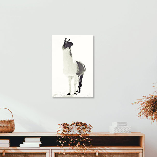 FLUFFY LAMA, Deutschland – Fotokunst von Monika Strigel als Poster oder Acrylglasbild