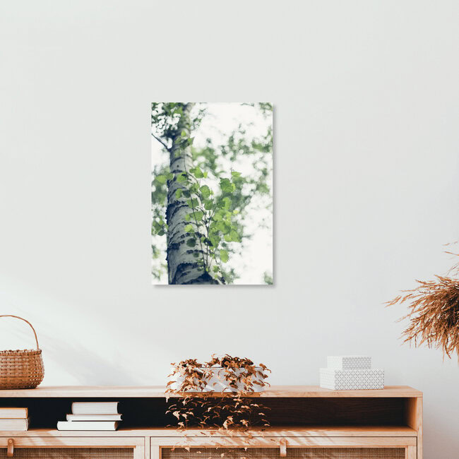 Zartes frisches Birkenlaub im Frühling, Deutschland – Fotokunst von Nadja Jacke als Poster oder Acrylglasbild