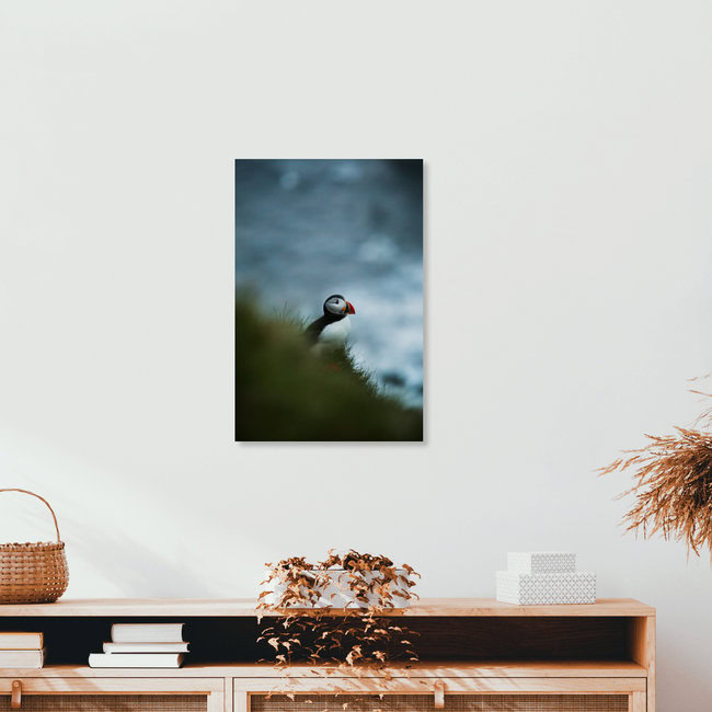 Papageientaucher in Island, Island – Fotokunst von Marina Weishaupt als Poster oder Acrylglasbild