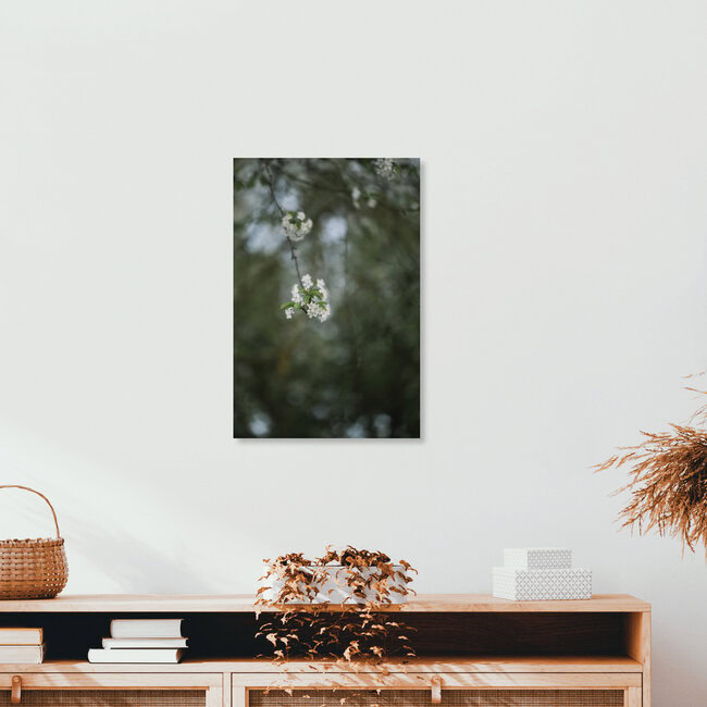 blühende Felsen Kirsche im Frühjahr, Deutschland – Fotokunst von Nadja Jacke als Poster oder Acrylglasbild