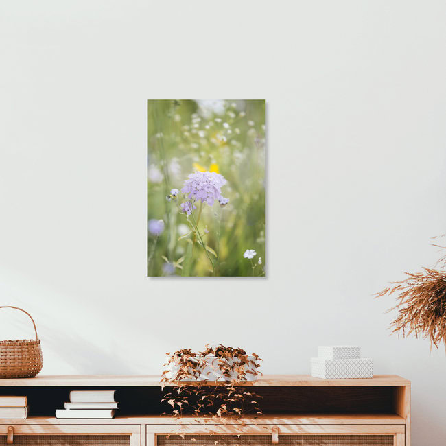 Sommerblumenwiese mit Wildblumen, Deutschland – Fotokunst von Nadja Jacke als Poster oder Acrylglasbild