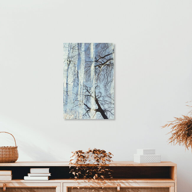 Kahler Buchenwald vor wolkenlosem Himmel, Deutschland – Fotokunst von Nadja Jacke als Poster oder Acrylglasbild